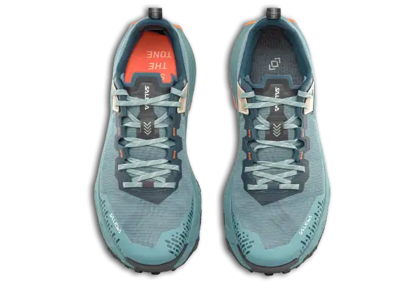 Salewa Pedroc 2 Max men's shoes Willow/Pond