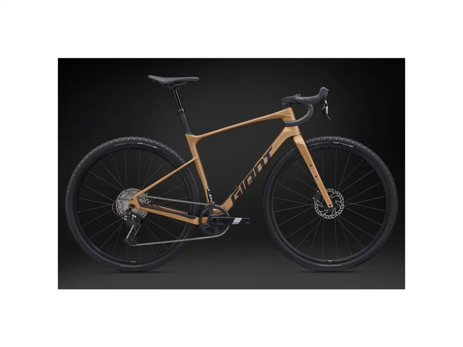 Giant Revolt Advanced 1 gravel bike Steampunk