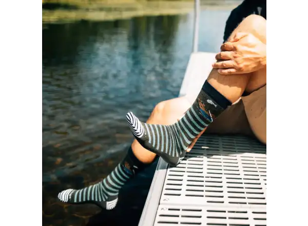 Darn Tough Animal Haus Crew Lightweight men's socks Forest