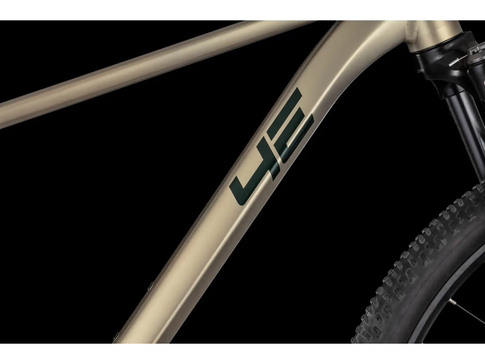 4Ever Trinity Team 29" mountain bike Satin sand