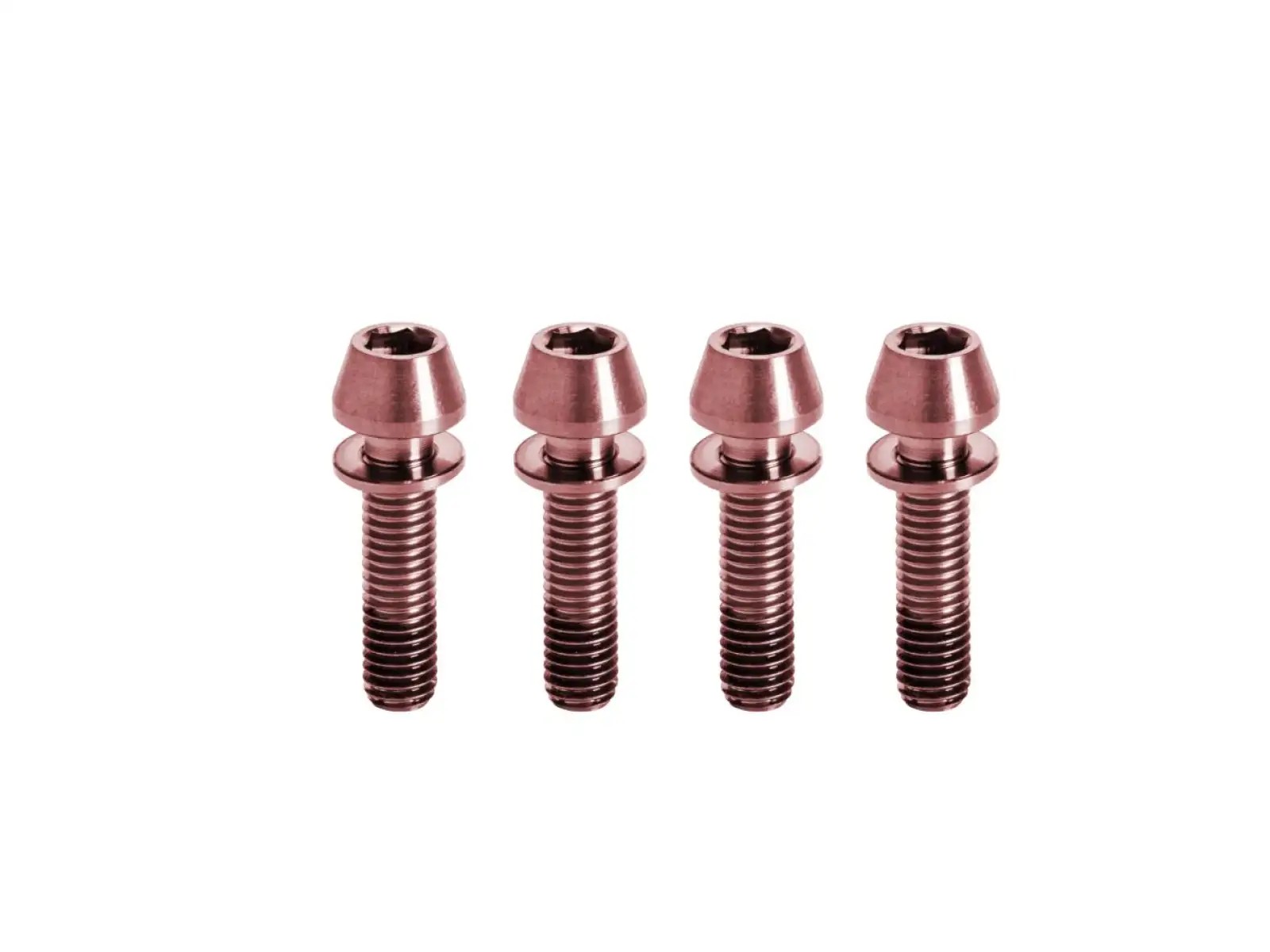 Kogel titanium stem bolts M5x20 mm