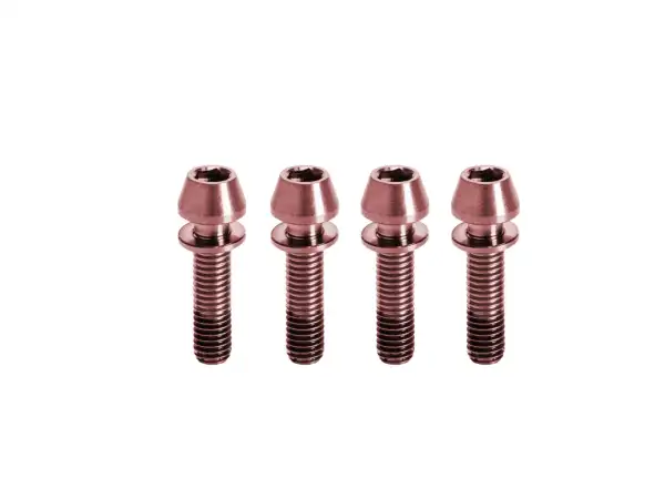 Kogel titanium stem bolts M5x20 mm