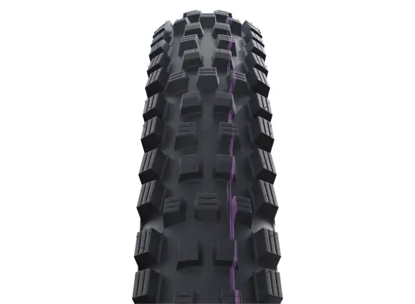 Schwalbe Magic Mary Evolution Super Downhill TLE 29" MTB tire Black