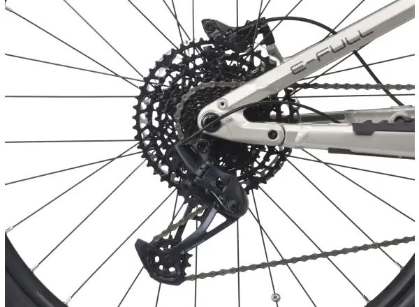 Crussis e-Full 10.10-L (900 Wh) full-suspension e-bike
