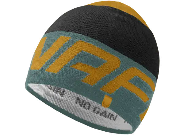 Dynafit Radical Cap Atlantic