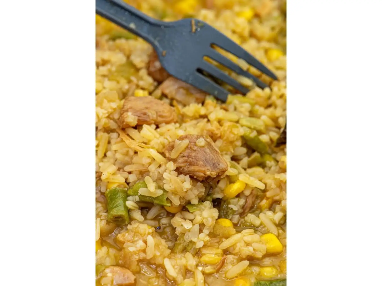Summit To Eat dehydrated food Fried Rice with Chicken and Teriyaki Sauce 202 g