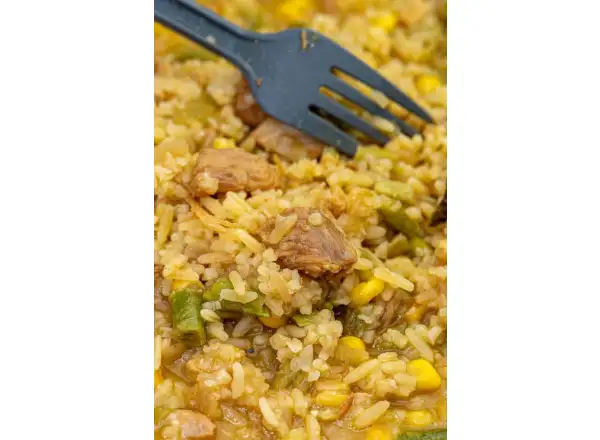 Summit To Eat dehydrated food Fried Rice with Chicken and Teriyaki Sauce 202 g