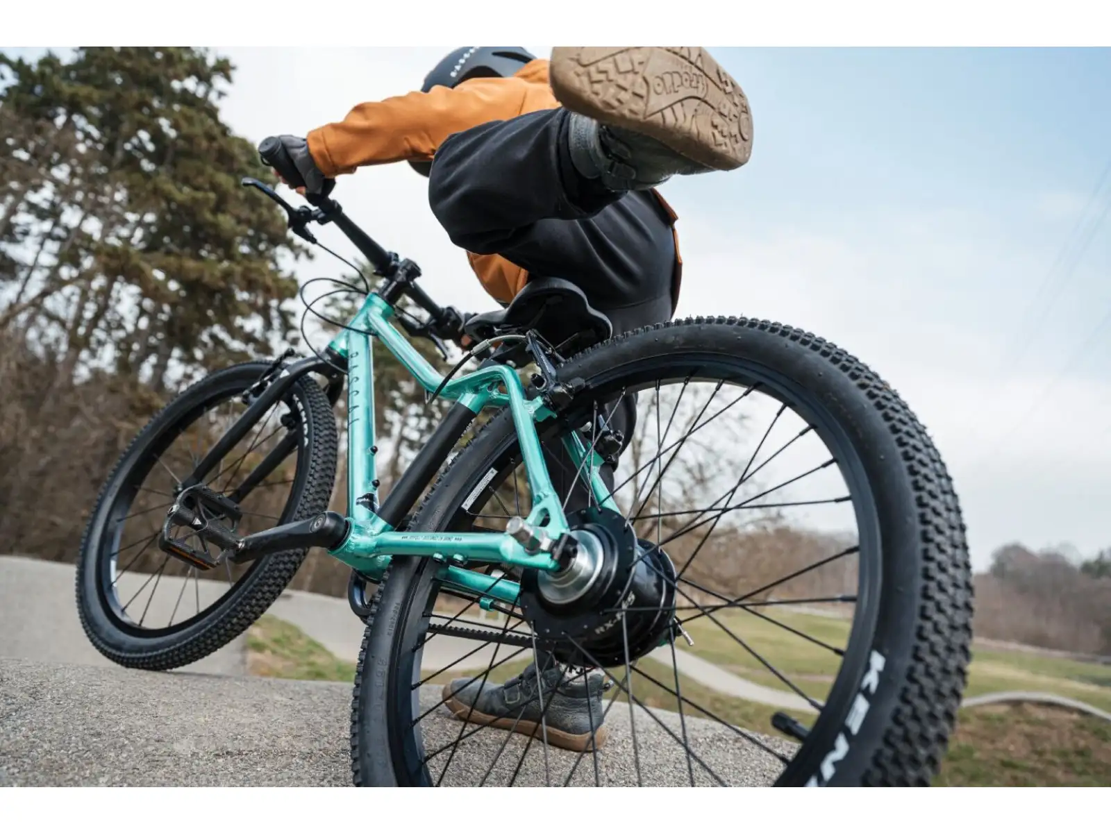 Rascal 20 Limited kids bike Emerald