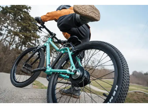 Rascal 20 Limited kids bike Emerald