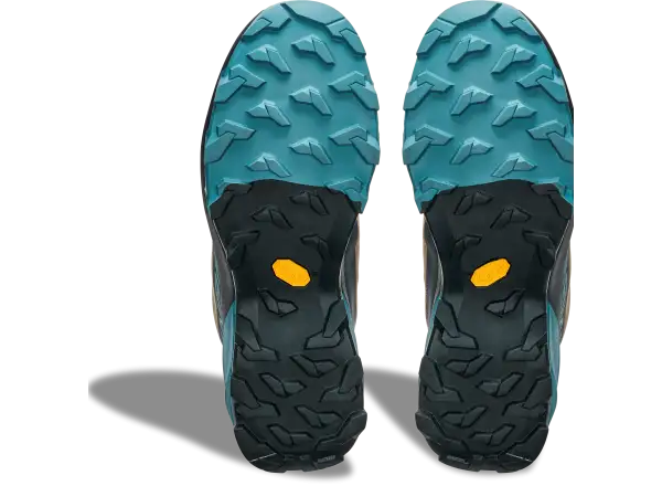 Dynafit Transalper 2 GTX men's running shoes Blueberry/Fallen Rock