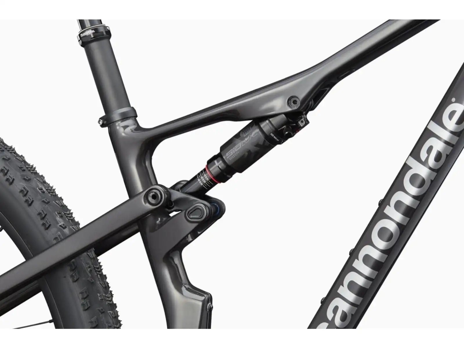 Cannondale Scalpel 2 Lefty mountain bike Smoke Black