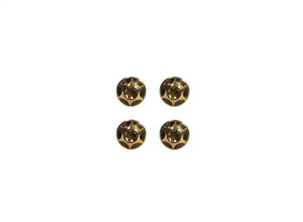 Silca Ti bolt set for bike cage Bourbon