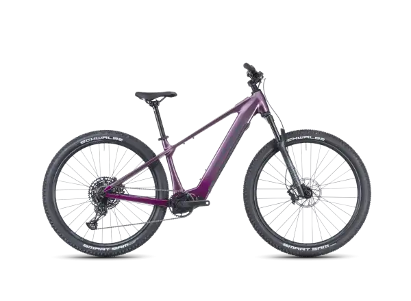 Crussis e-Fionna AX 9.12-M2S(600) mountain e-bike