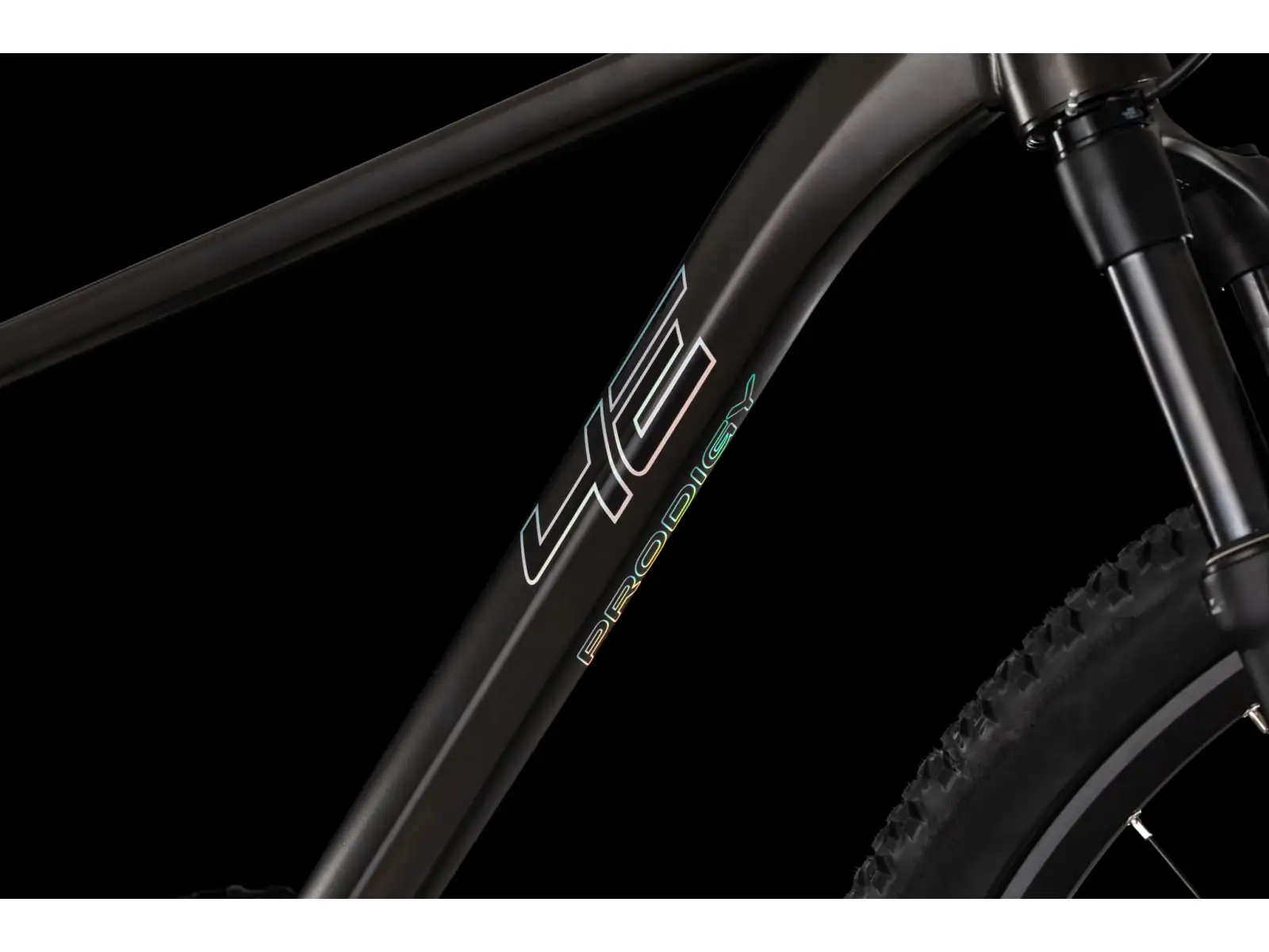 4Ever Prodigy Race 29" mountain bike Black/hologram