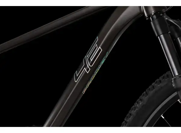 4Ever Prodigy Race 29" mountain bike Black/hologram