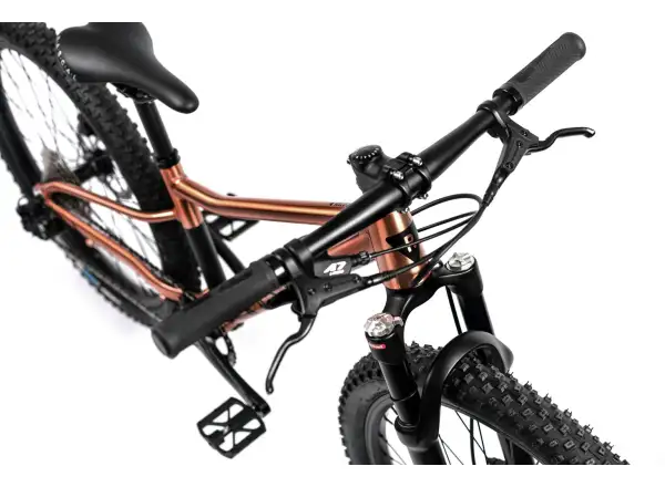 Rascal Wild 24 children's bike Bronze