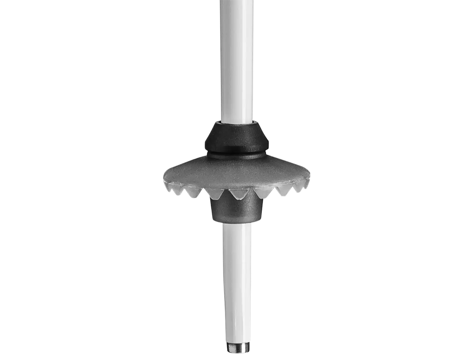 Leki Rider Create kids' alpine ski poles White-dark anthracite