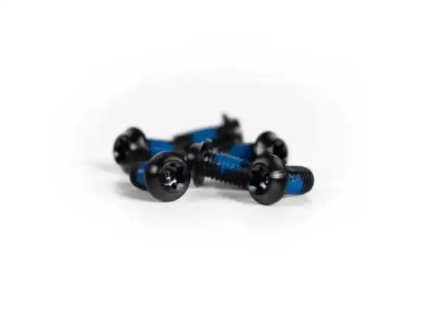 Trickstuff titanium bolts for fastening brake rotors black