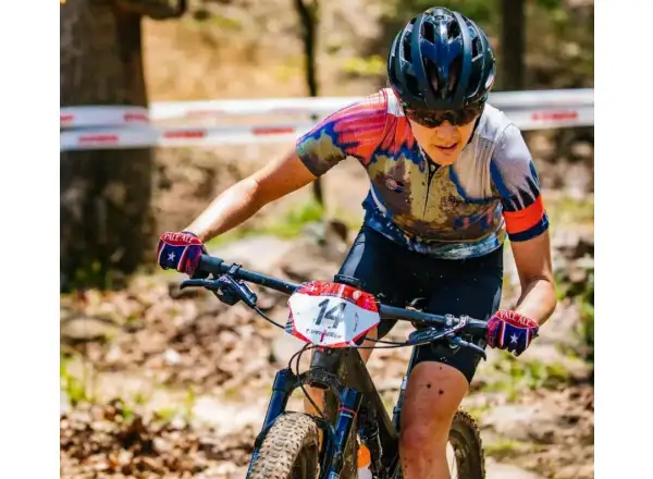 Santa Cruz Blur 4 CC XC 29" MTB frame set