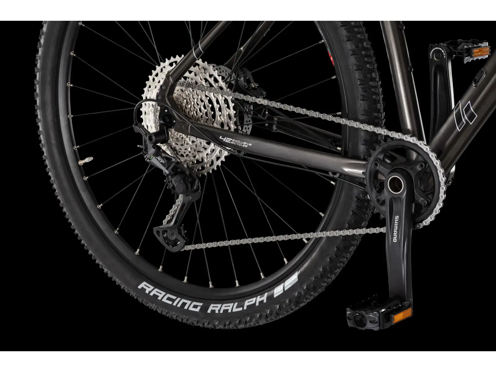 4Ever Prodigy Race 29" mountain bike Black/hologram