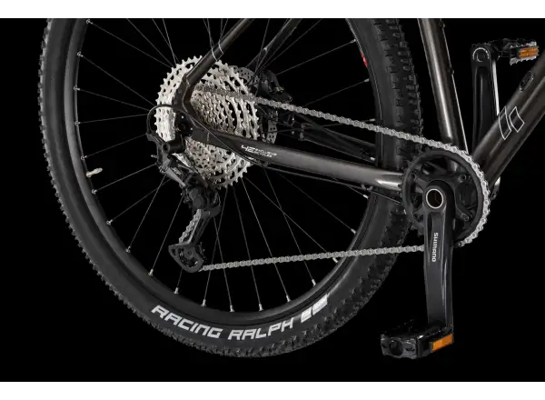 4Ever Prodigy Race 29" mountain bike Black/hologram
