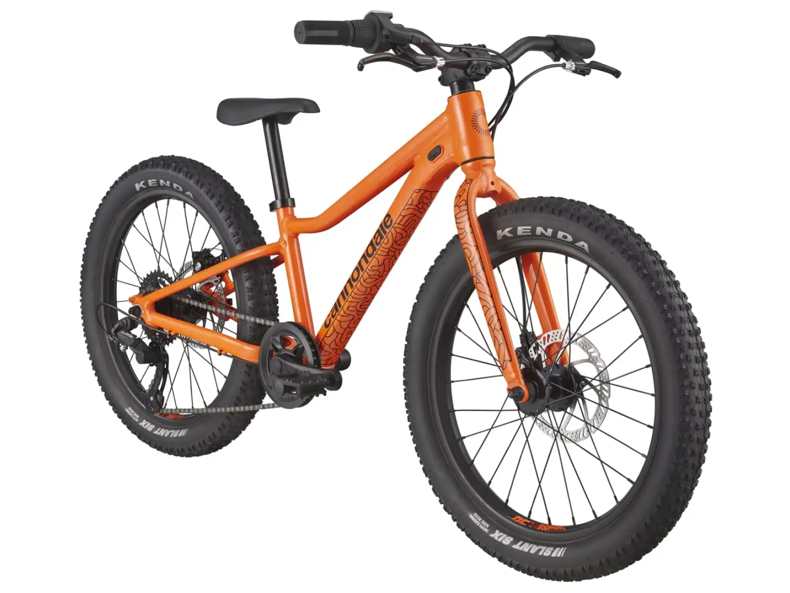 Cannondale Kids Trail Plus 20 ORG children's bike
