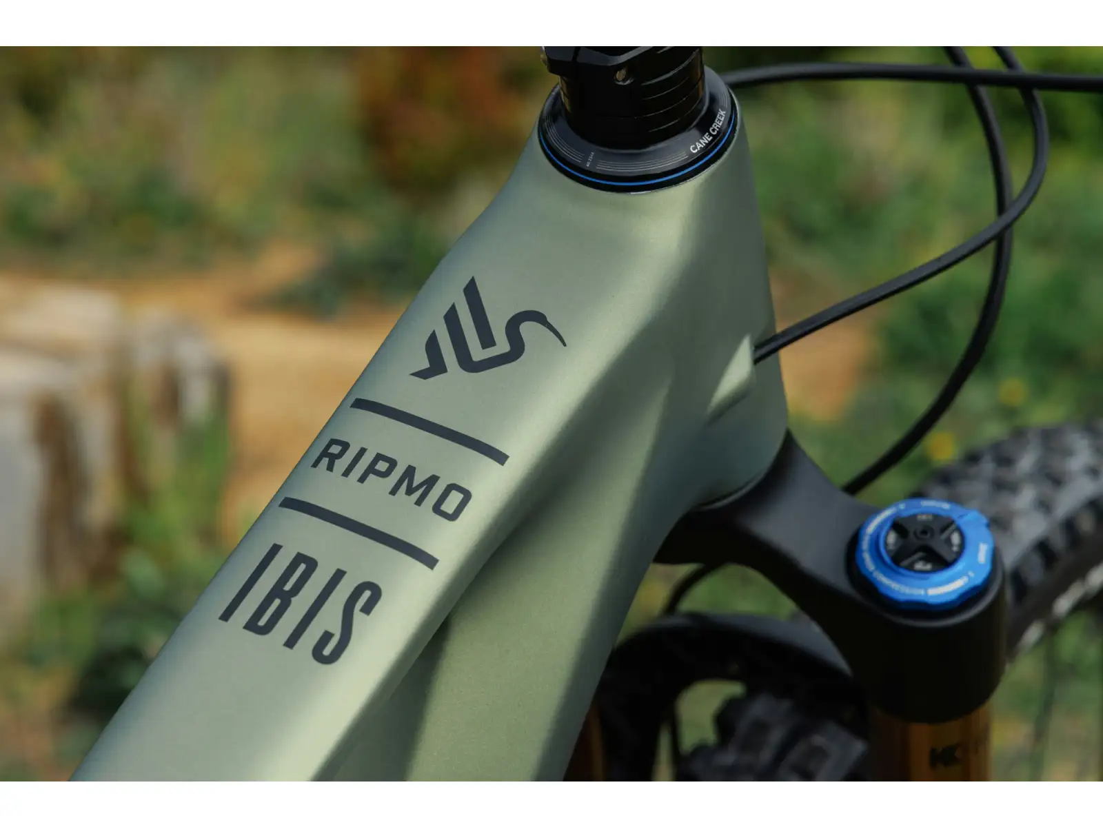 Ibis Ripmo V3 frameset Olive Swamp Monster