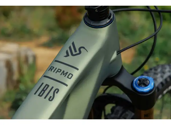 Ibis Ripmo V3 frameset Olive Swamp Monster