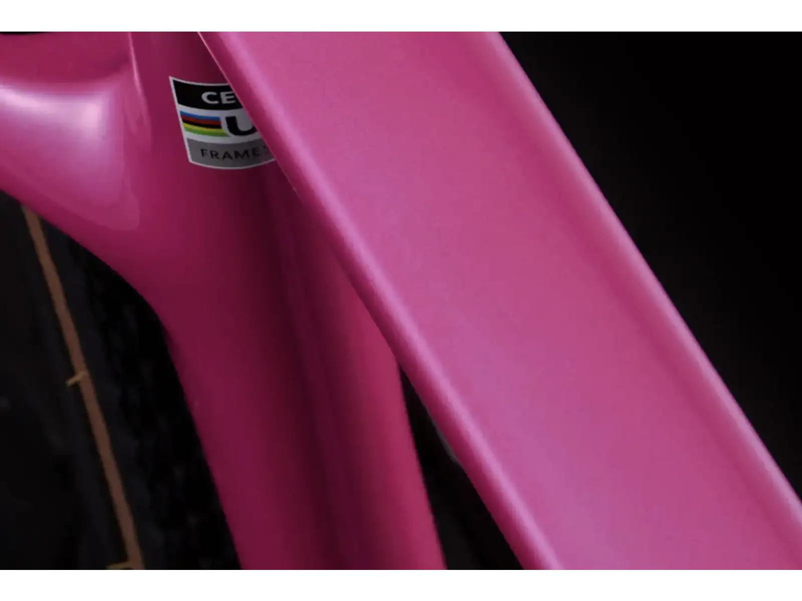 Cervélo Aspero SRAM Force AXS 1 gravel bike Dusty Unicorn