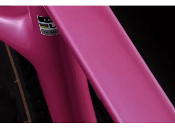 Cervélo Aspero SRAM Force AXS 1 gravel bike Dusty Unicorn