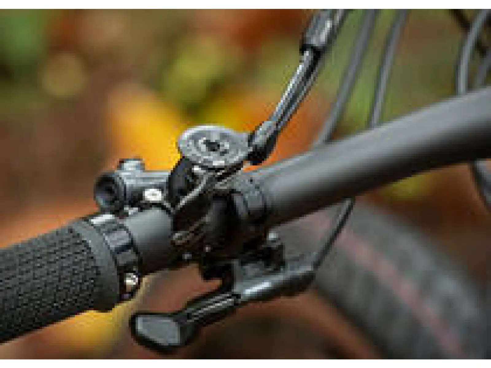 Superior Team XF 29 Issue R full suspension mountain bike Matte Carbon/Chrome/Team Red