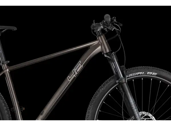 4Ever Prodigy Race 29" mountain bike Black/hologram