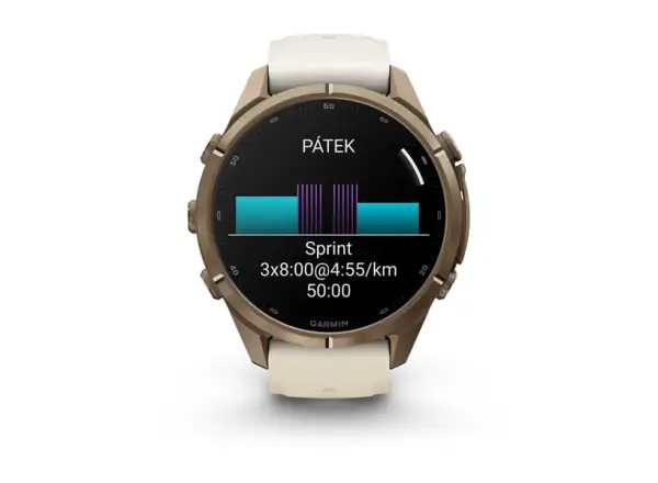 Garmin fenix 9 Pro inReach 43 mm smart watch Autumn gold titanium/Cream/french gray
