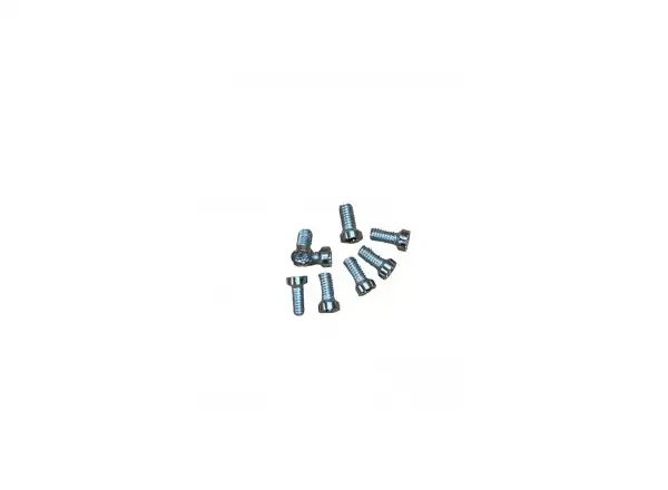Leonardi Factory Kit Torx M4x10 chainring bolts