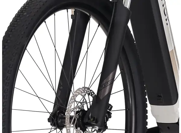 Superior eXC 6.2 electric mountain bike Gloss Dust