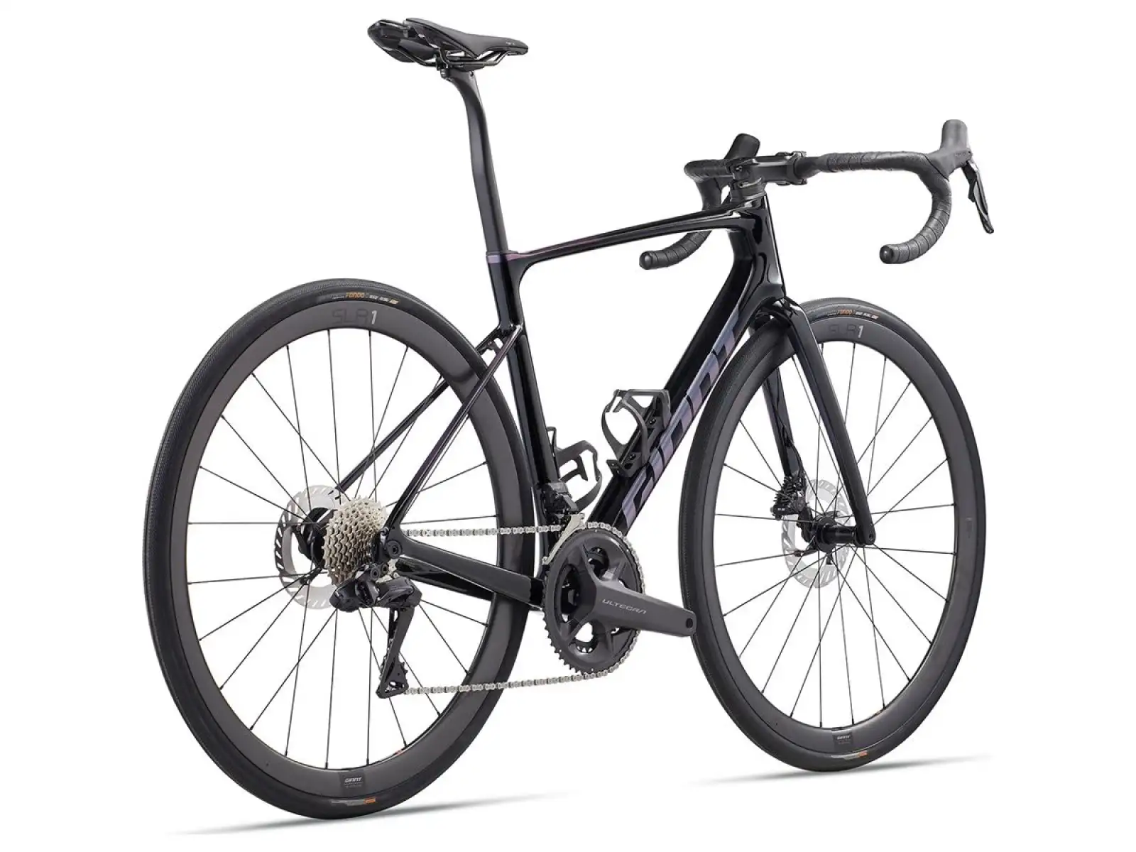 Giant Defy Advanced Pro 0 road bike carbon/bluedragonfly