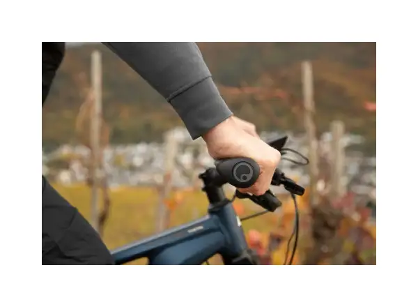 Ergon GT1 grips size S black
