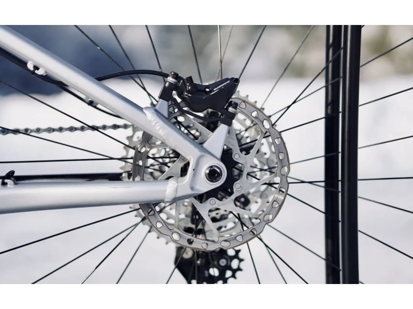 Rock Machine Blizz e60-29 Gloss Silver/Black mountain e-bike