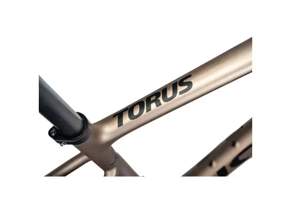 Isaac Torus Xplore GRX825 Di2 2x12 gravel bike Blast Bronze