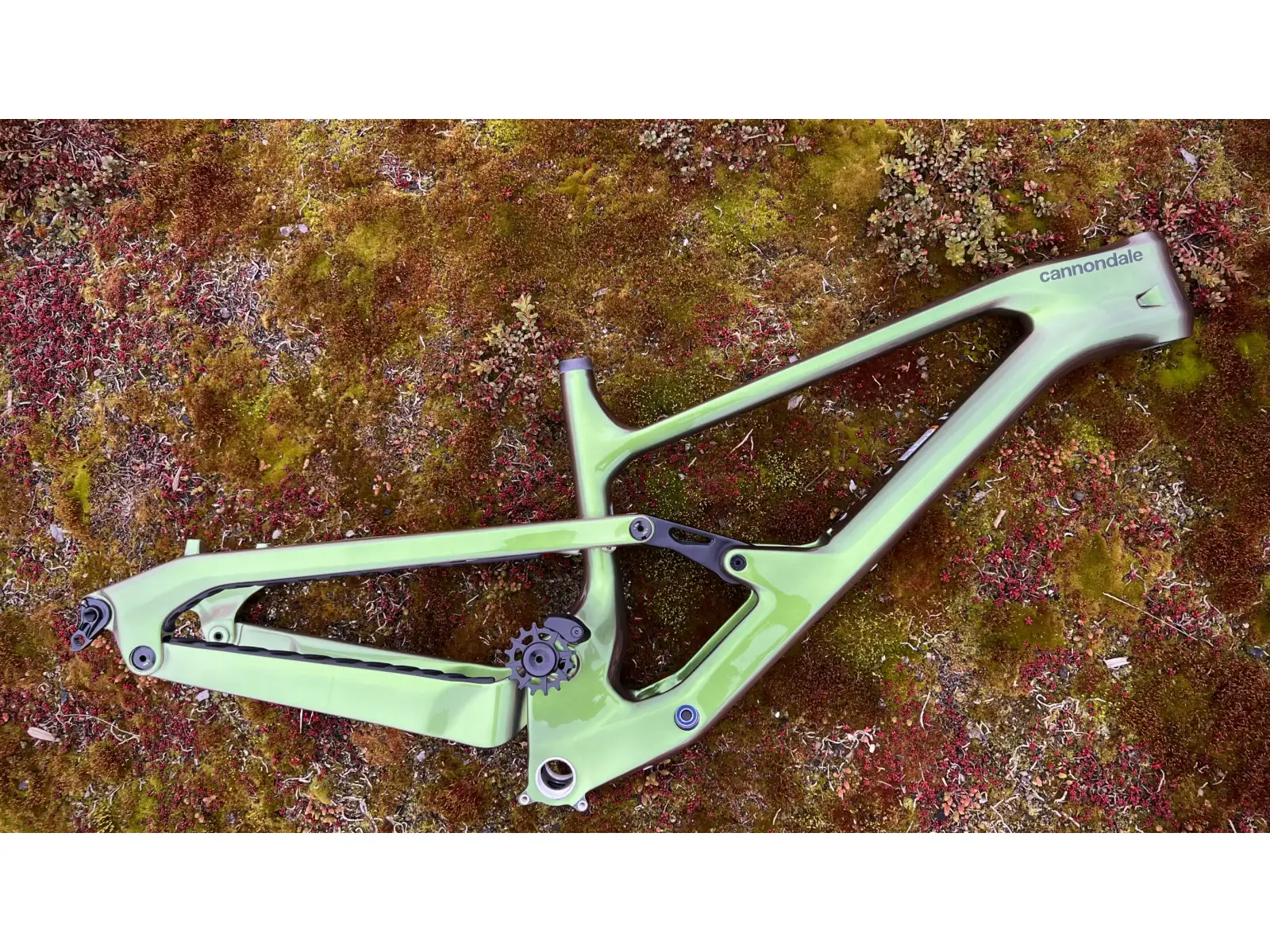 Cannondale Jekyll Frame Carbon MTB frame BGN