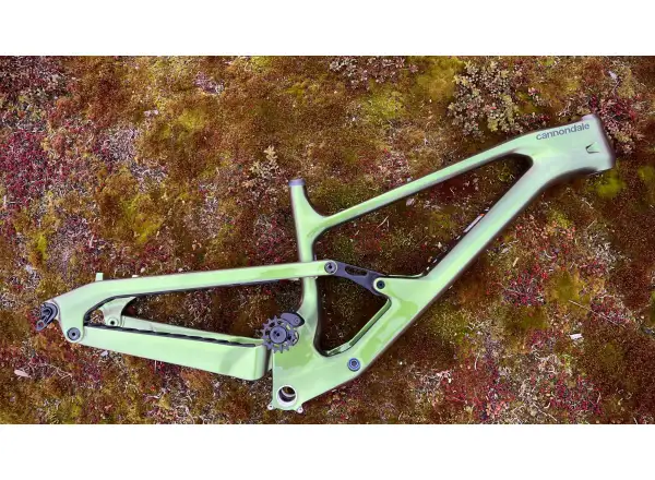 Cannondale Jekyll Frame Carbon MTB frame BGN
