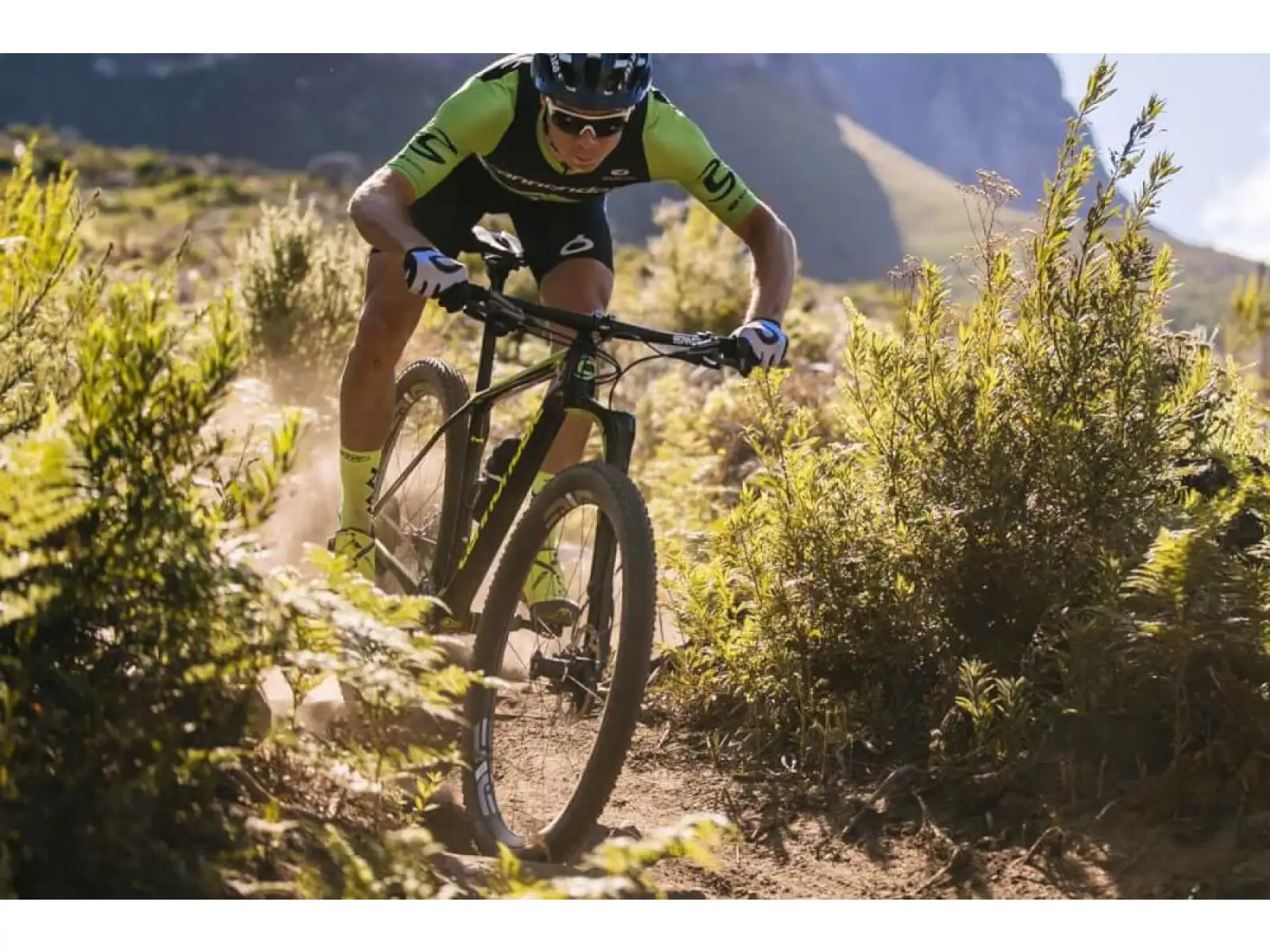 Cannodnale LEFTY OCHO ALLOY DEFAULT OPEN 29" 100 mm suspension fork