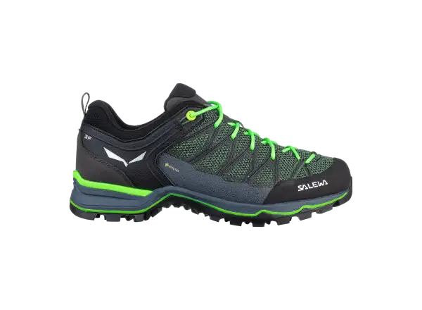 Salewa Mountain Trainer Lite GTX men's hiking boots Myrtle/Ombre Blue