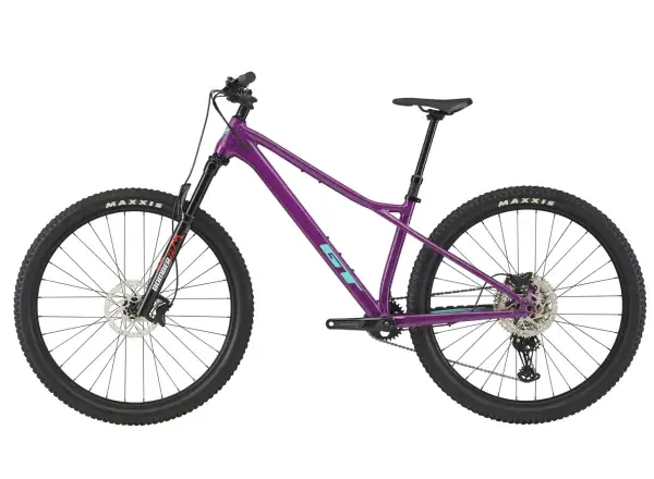 GT Zaskar LT 29 Pro RAS mountain bike