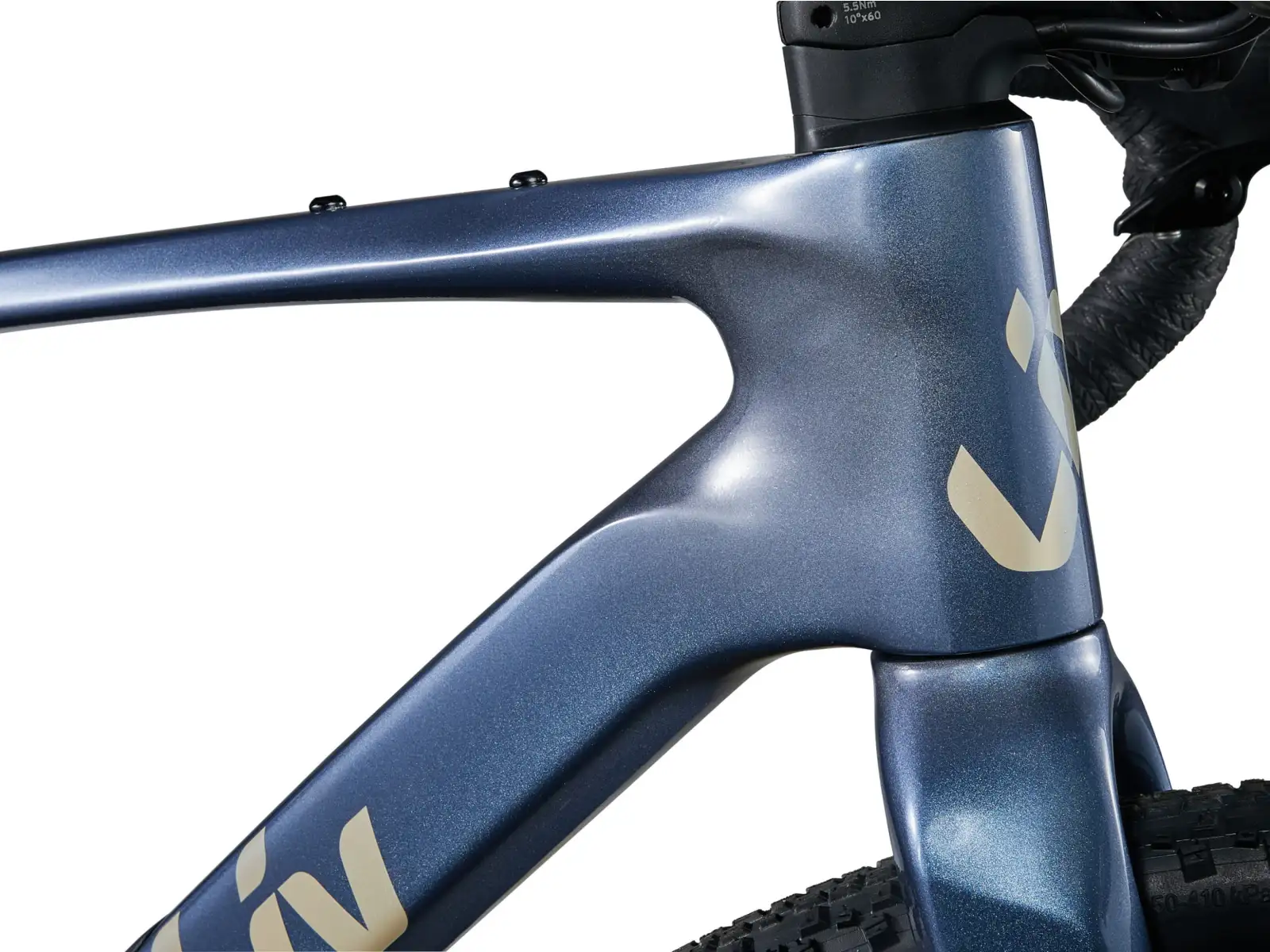 Liv Devote Advanced 1 women's gravel bike Ice Age