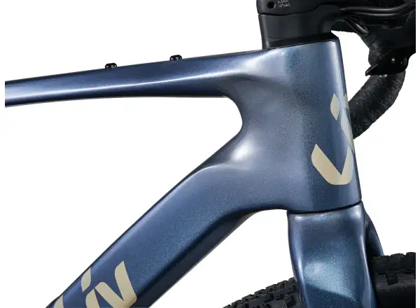 Liv Devote Advanced 1 women's gravel bike Ice Age