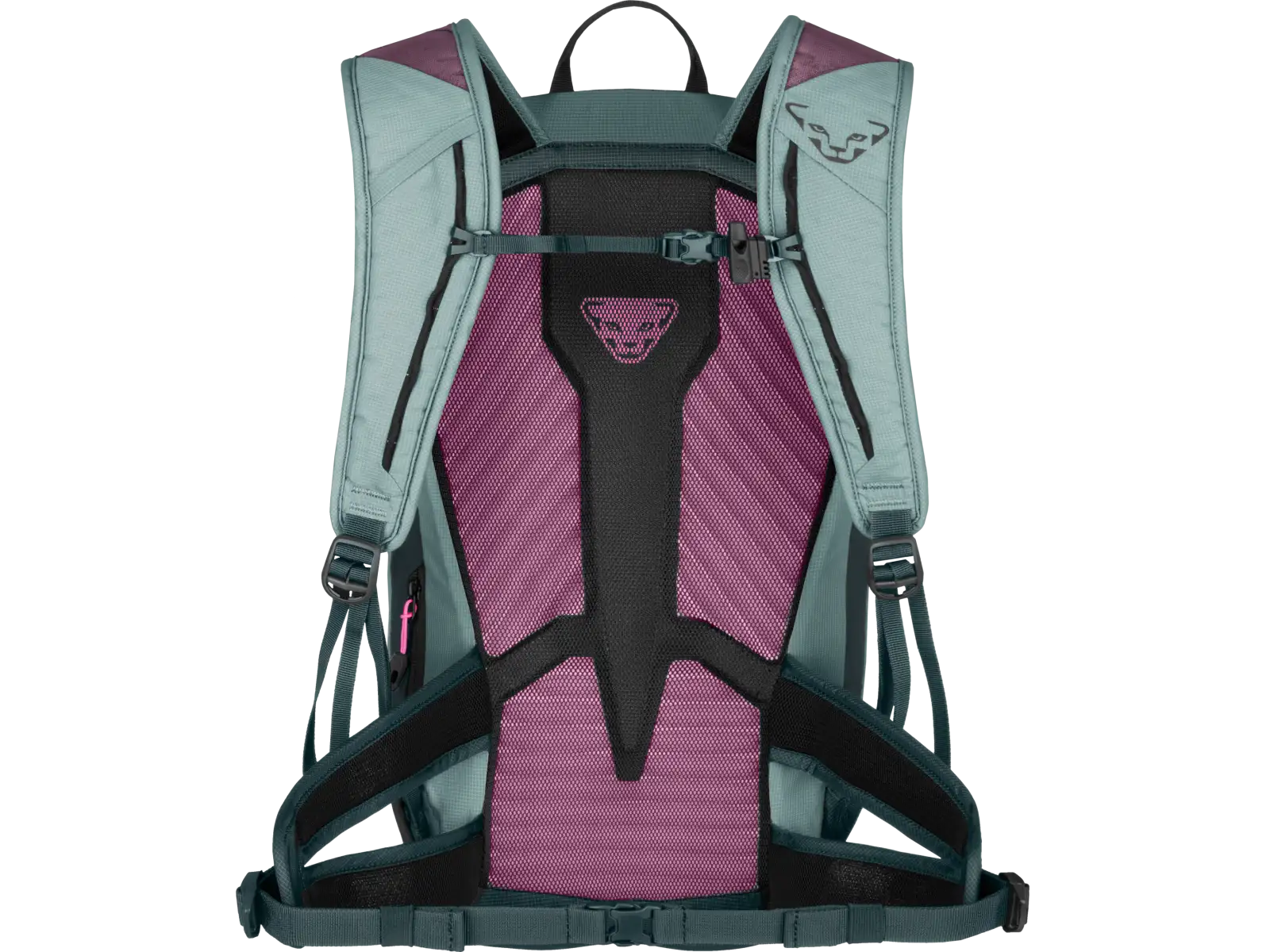 Dynafit Transalpe 22 women's backpack Cloud Blue/Cinder