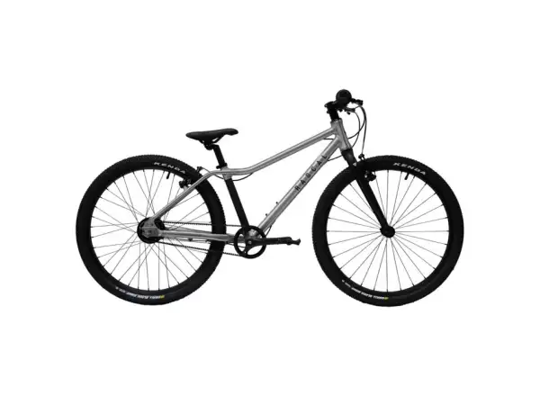 Rascal 24 3 sp. Shimano Nexus children's bike Titan
