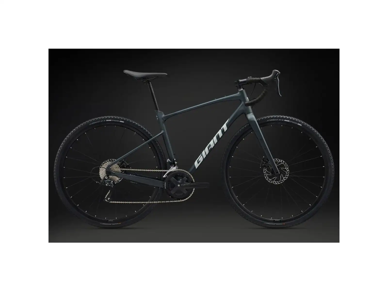 Giant Revolt 2 gravel bike Asphalt Green