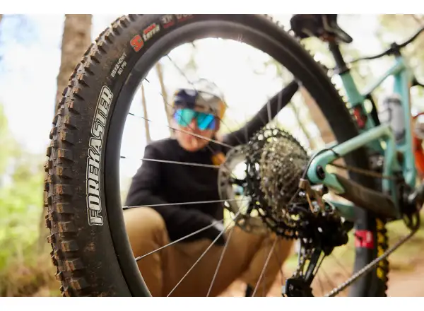 Maxxis Forekaster MaxxTerra/Exo+/TR 29x2,60" MTB tire kevlar